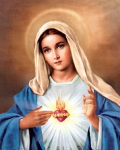 Róża Niepokalanego Serca Maryi